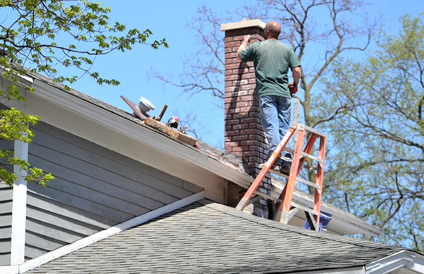 Chimney & Fireplace Inspections Services in Lomita, CA