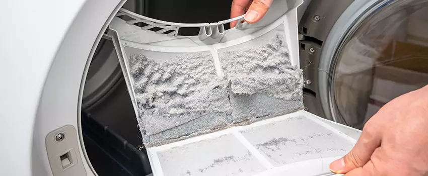 Best Dryer Lint Removal Company in Lomita, California