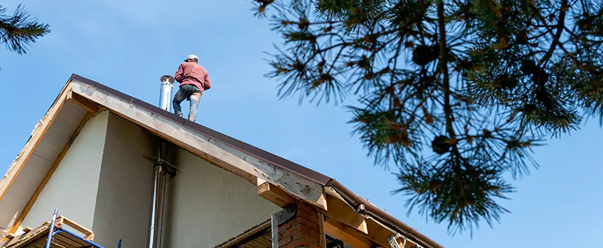 Birds Removal Contractors from Chimney in Lomita, CA